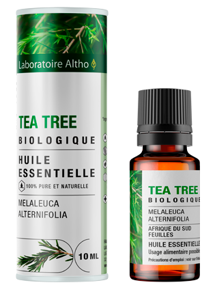 Huile Essentielle de Tea Tree Bio – 10ml | Pureté Naturelle & Vertus Protectrices